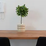 The White House Minimal Apartment