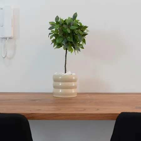 The White House Minimal アパート