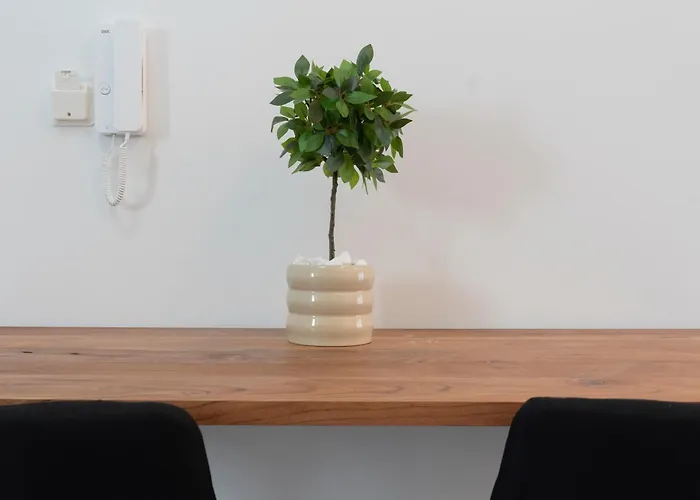 The White House Minimal Lägenhet